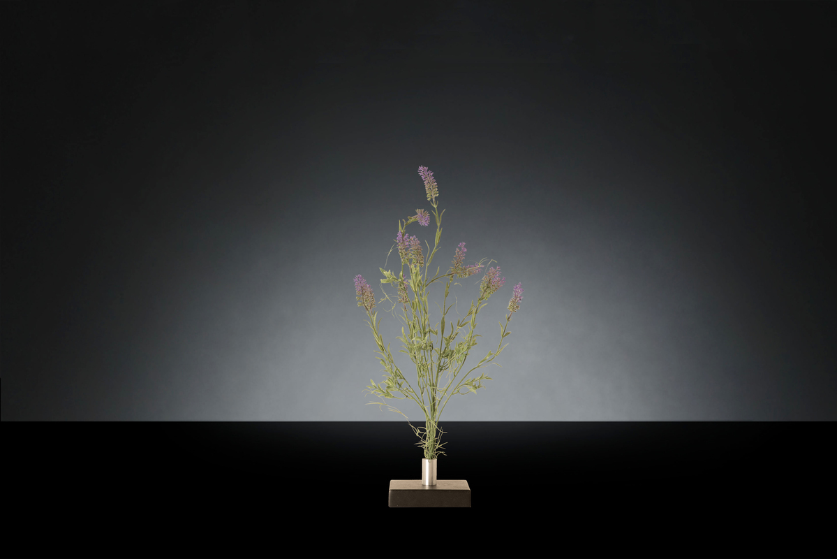1700218518-1142894.96 SINGLE LAVANDA_2LOW